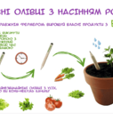 Набір олівців EcoStick 12 шт., фото 3